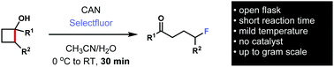 Graphical abstract: Rapid and scalable synthesis of fluoroketones via cerium-mediated C–C bond cleavage