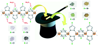 Graphical abstract: Investigation on the interconversion from DMF-solvated to unsolvated copper(ii) pyrazolate coordination polymers