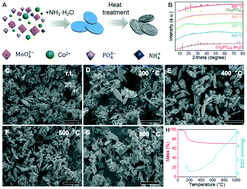 Graphical abstract: Phase transformation of PiMoCo and their electrocatalytic activity for oxygen evolution reaction