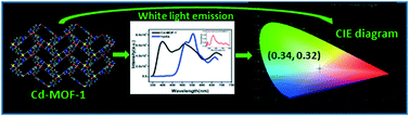 Graphical abstract: Luminescent CdII metal–organic frameworks based on isoniazid using a mixed ligand approach
