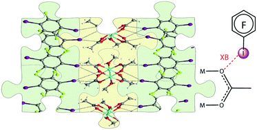 Graphical abstract: A new supramolecular heterosynthon [C–I⋯O [[double bond, length as m-dash]] C(carboxylate)] at work: engineering copper acetate cocrystals
