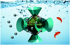 Graphical abstract: Two sulfur and nitrogen-rich cobalt–thiacalix[4]arene compounds for the selective mercury removal from aqueous solutions