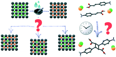 Graphical abstract: The impact of solid solution composition on kinetics and mechanism of [2 + 2] photodimerization of cinnamic acid derivatives