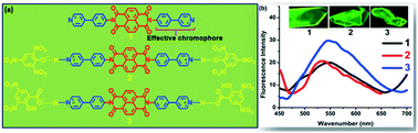 Graphical abstract: Functionalized naphthalenediimide based supramolecular charge-transfer complexes via self-assembly and their photophysical properties