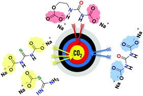 Graphical abstract: The eternal battle to combat global warming: (thio)urea as a CO2 wet scrubbing agent