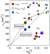 Graphical abstract: Non network-former cations in oxide glasses spotted by Raman scattering