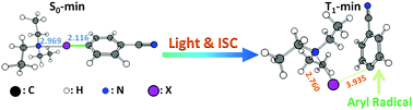 Graphical abstract: Halogen bonding matters: visible light-induced photoredox catalyst-free aryl radical formation and its applications