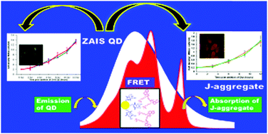 Graphical abstract: Highly efficient energy transfer from a water soluble zinc silver indium sulphide quantum dot to organic J-aggregates