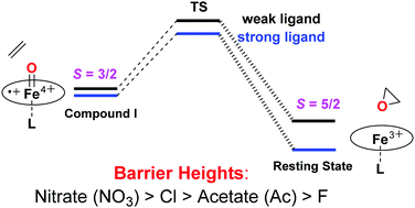 Graphical abstract: DFT insight into axial ligand effects on electronic structure and mechanistic reactivity of oxoiron(iv) porphyrin