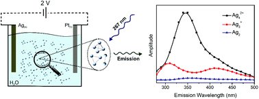 Graphical abstract: On the photophysics of electrochemically generated silver nanoclusters: spectroscopic and theoretical characterization