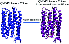Graphical abstract: An assessment of water placement algorithms in quantum mechanics/molecular mechanics modeling: the case of rhodopsins’ first spectral absorption band maxima