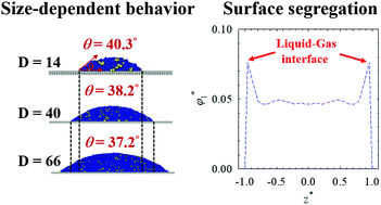 Graphical abstract: Size-dependence and interfacial segregation in nanofilms and nanodroplets of homologous polymer blends