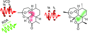 Graphical abstract: A combined Raman optical activity and vibrational circular dichroism study on artemisinin-type products