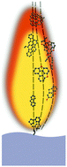 Graphical abstract: Stochastic and network analysis of polycyclic aromatic growth in a coflow diffusion flame