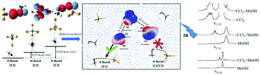 Graphical abstract: Competition between the hydrogen bond and the halogen bond in a [CH3OH–CCl4] complex: a matrix isolation IR spectroscopy and computational study