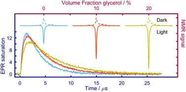 Graphical abstract: Viscosity effects on optically generated electron and nuclear spin hyperpolarization