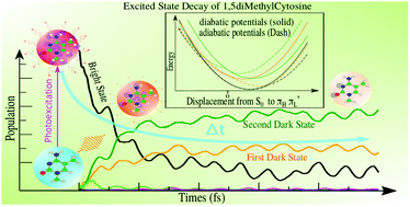 Graphical abstract: Quantum dynamics of the ππ*/nπ* decay of the epigenetic nucleobase 1,5-dimethyl-cytosine in the gas phase