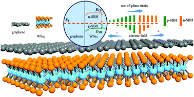 Graphical abstract: Tunable electronic properties and Schottky barrier in a graphene/WSe2 heterostructure under out-of-plane strain and an electric field