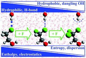 Graphical abstract: Quantifying how step-wise fluorination tunes local solute hydrophobicity, hydration shell thermodynamics and the quantum mechanical contributions of solute–water interactions