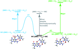 Graphical abstract: Is non-statistical dissociation a general feature of guanine–cytosine base-pair ions? Collision-induced dissociation of a protonated 9-methylguanine–1-methylcytosine Watson–Crick base pair, and comparison with its deprotonated and radical cation analogues