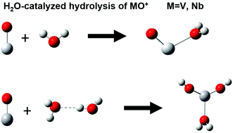 Graphical abstract: Infrared photodissociation spectroscopic investigation on VO+ and NbO+ hydrolysis catalyzed by water molecules