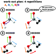 Graphical abstract: Increasing the weights in the molecular work-out of cis- and trans-formic acid: extension of the vibrational database via deuteration