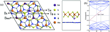 Graphical abstract: The electronic and magnetic properties of h-BN/MoS2 heterostructures intercalated with 3d transition metal atoms