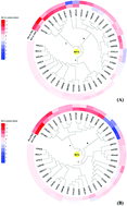 Graphical abstract: Computational analysis of binding free energies, hotspots and the binding mechanism of Bcl-xL/Bcl-2 binding to Bad/Bax