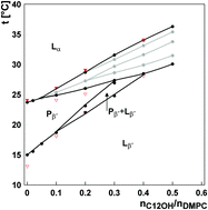 Graphical abstract: Thermodynamic and structural study of DMPC–alkanol systems