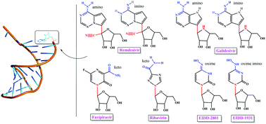 Graphical abstract: Role of different tautomers in the base-pairing abilities of some of the vital antiviral drugs used against COVID-19