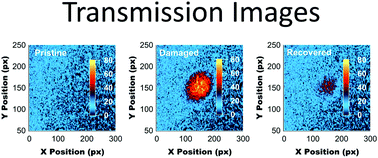 Graphical abstract: Imaging studies of photodegradation and self-healing in anthraquinone derivative dye-doped PMMA