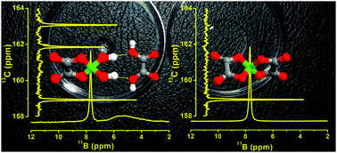 Graphical abstract: Transition anionic complex in trihexyl(tetradecyl)phosphonium-bis(oxalato)borate ionic liquid – revisited