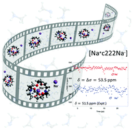 Graphical abstract: Ab initio molecular dynamics study of sodium NMR chemical shifts in the methylamine solution of [Na+ [2.2.2]cryptand Na−]