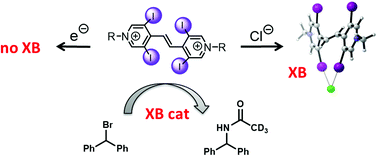 Graphical abstract: Towards redox-switchable organocatalysts based on bidentate halogen bond donors