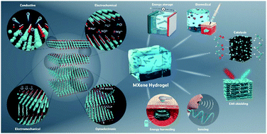 Graphical abstract: MXene hydrogels: fundamentals and applications