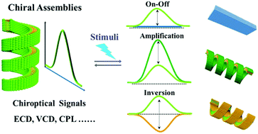 Graphical abstract: Supramolecular chiroptical switches