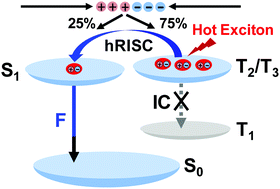 Graphical abstract: Recent progress in hot exciton materials for organic light-emitting diodes