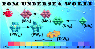 Graphical abstract: Polyoxometalates in solution: speciation under spotlight