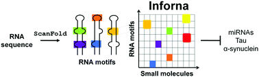 Graphical abstract: Design of small molecules targeting RNA structure from sequence