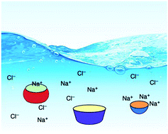 Graphical abstract: Host–guest binding in water, salty water, and biofluids: general lessons for synthetic, bio-targeted molecular recognition