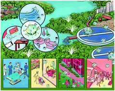 Graphical abstract: Detection of coronavirus in environmental surveillance and risk monitoring for pandemic control