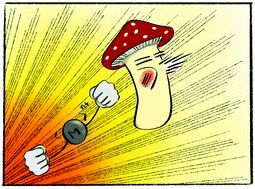 Graphical abstract: Recent developments of metal-based compounds against fungal pathogens