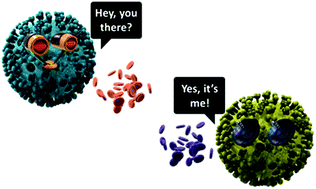 Graphical abstract: Engineering chemical communication between micro/nanosystems