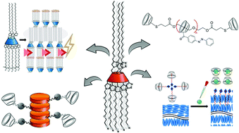 Graphical abstract: Principles and applications of cyclodextrin liquid crystals