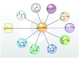 Graphical abstract: Metal-catalyzed silylation of sp3C–H bonds
