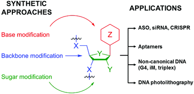 Graphical abstract: Recent progress in non-native nucleic acid modifications