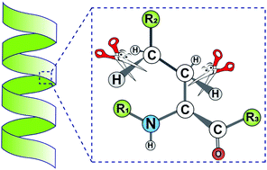 Graphical abstract: Progress and perspectives on directing group-assisted palladium-catalysed C–H functionalisation of amino acids and peptides
