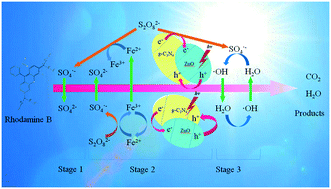 Graphical abstract: Continuous release of SO4˙− over g-C3N4/ZnO/Fe(iii) systems mediated by persulfates: the Fe(iii)/Fe(ii) cycling and degradation pathway