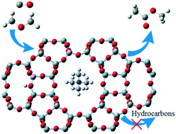 Graphical abstract: Identifying and controlling the acid site distributions in mordenite zeolite for dimethyl ether carbonylation reaction by means of selective ion-exchange