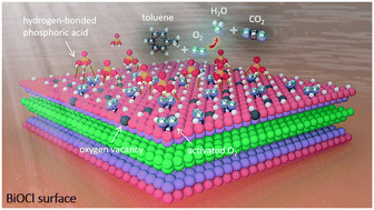 Graphical abstract: Dual-function surface hydrogen bonds enable robust O2 activation for deep photocatalytic toluene oxidation